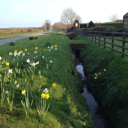 Ferienhaus The Old Dairy Scarborough